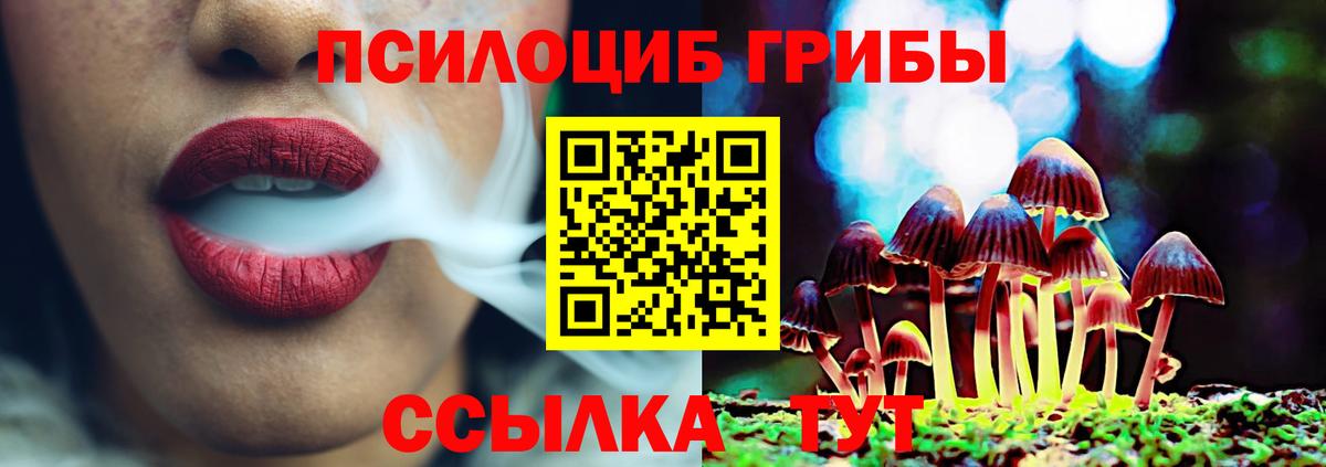 Бор  Галлюциногенные грибы ЛСД  Галлюциногенные грибы Cubensis  цены   Вход с VPN 